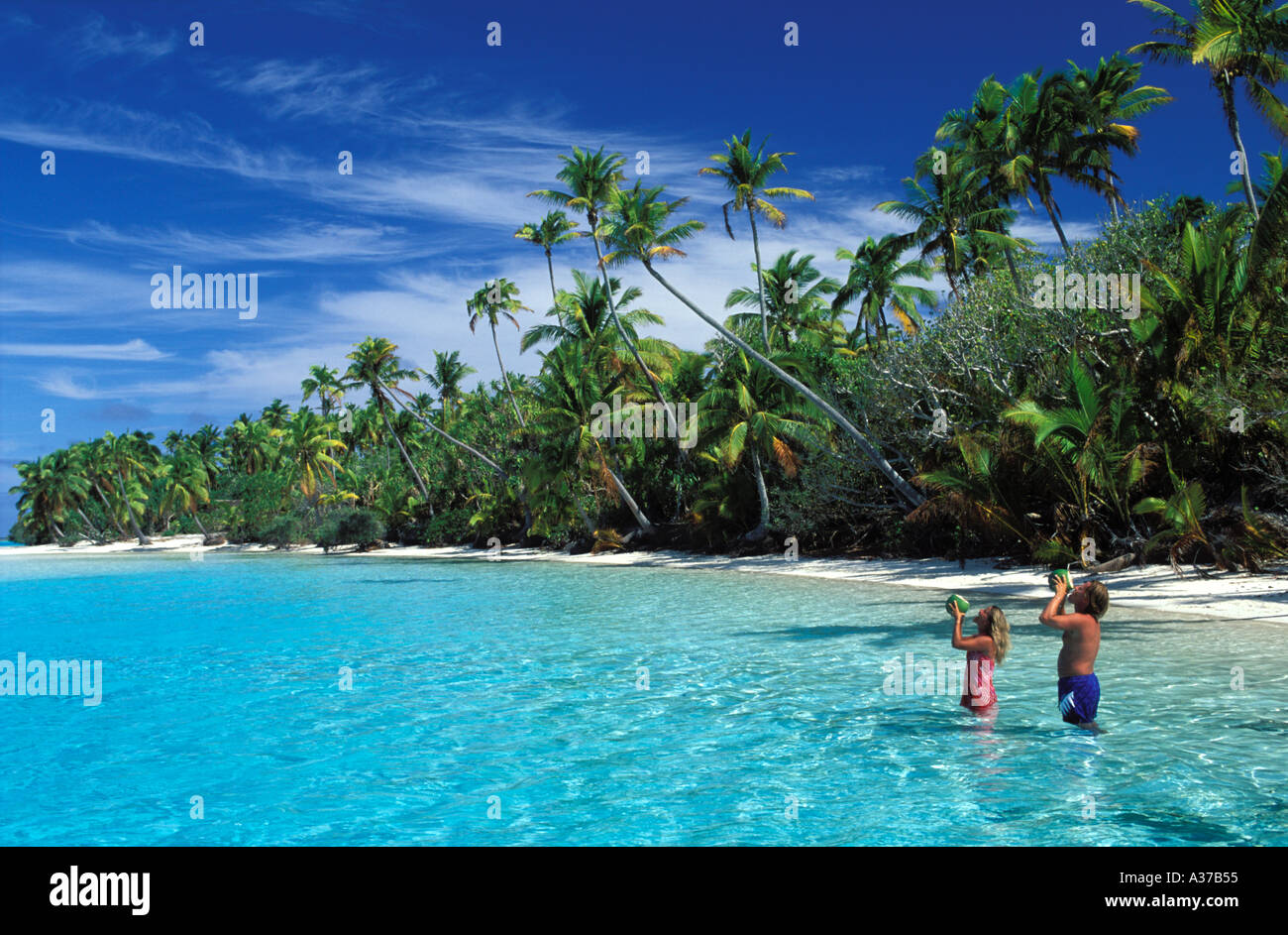 Paio di bere da noci di cocco fuori un piede isola nei pressi di Aitutaki nelle Isole Cook Foto Stock