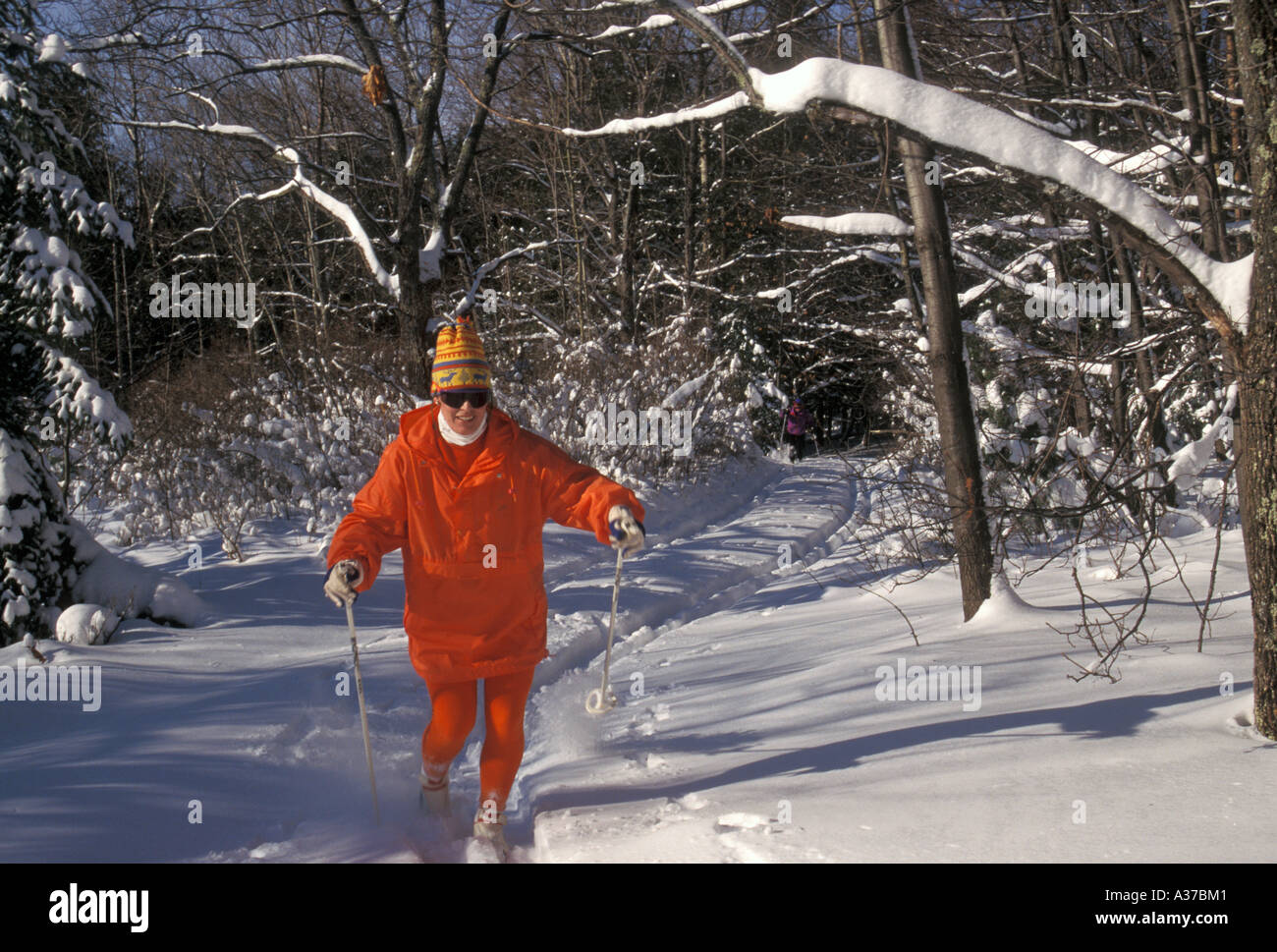 Charlevoix Michigan un cross country sciatore nei boschi del nord del Michigan Foto Stock