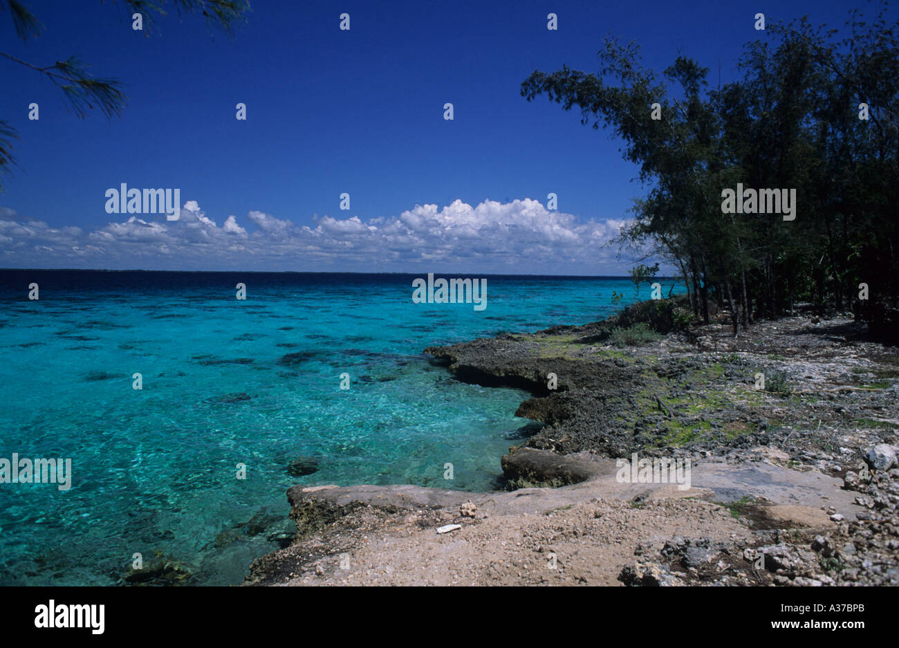 Baia dei Maiali Bahia de Cochinos Cuba il Mare dei Caraibi occidentali tropicale oceano Atlantico Foto Stock