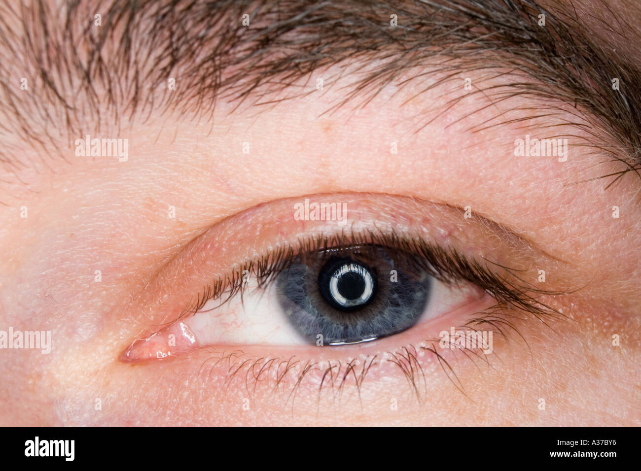 Close up di un occhio in presa con una corona di flash Foto Stock