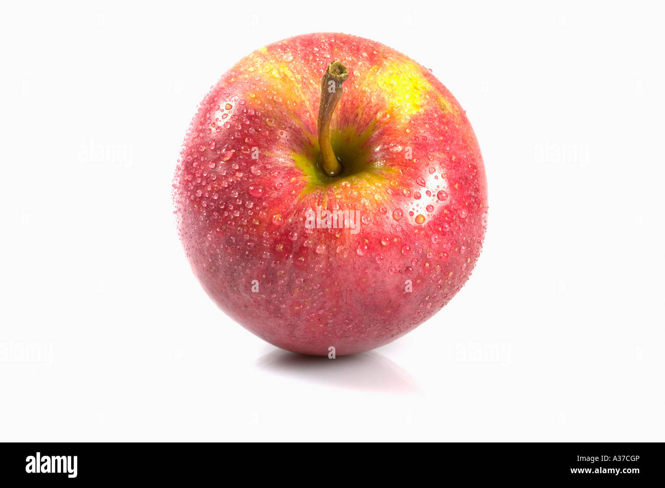 Red apple coperto di goccioline di acqua isolata contro uno sfondo bianco. Una leggera ombra dettagli per il realismo. Foto Stock