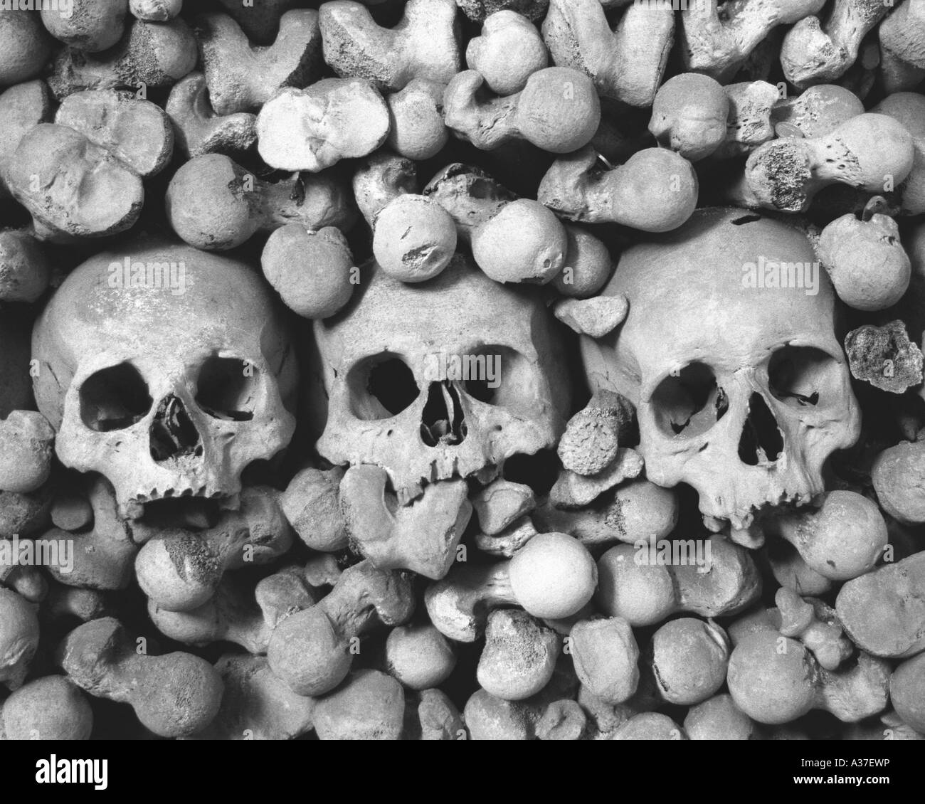 3 teschi, femori & tibiae Foto Stock