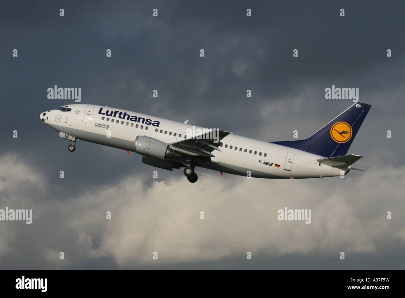 Le compagnie aeree Lufthansa Foto Stock
