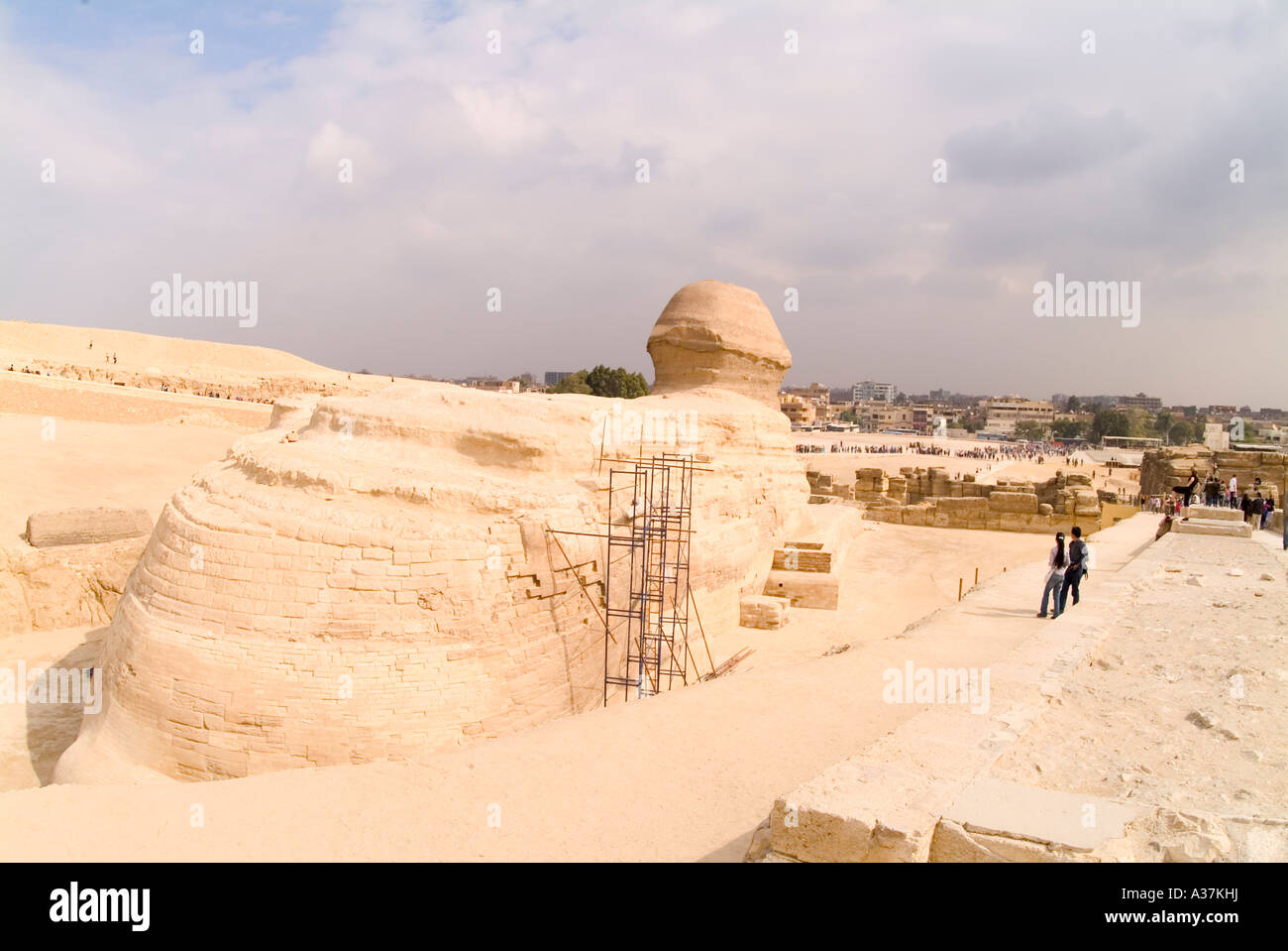 Giza la Grande Sfinge somiglianza di re altopiano Khafre vista dal lato posteriore del Cairo Egitto Nord Africa Foto Stock