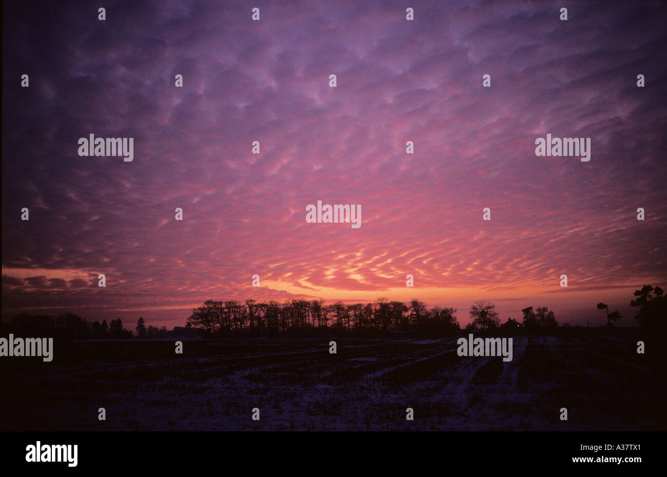 Nuvole al tramonto Foto Stock
