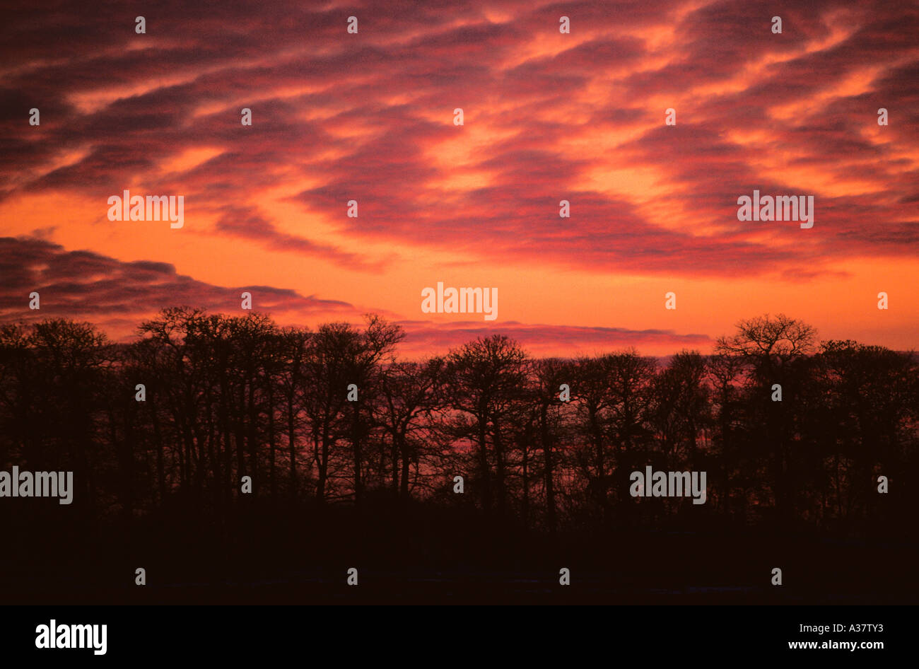 Nuvole al tramonto Foto Stock