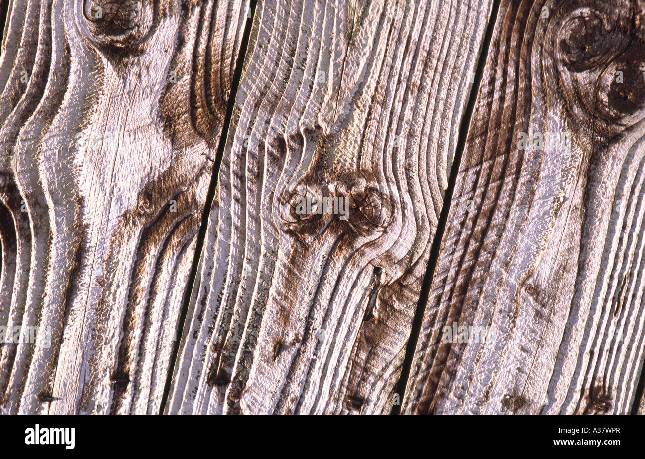 La texture weathered tavole di legno di legno sul lato del capannone che mostra la crescita del grano anelli e nodi e forme astratte in legno Foto Stock