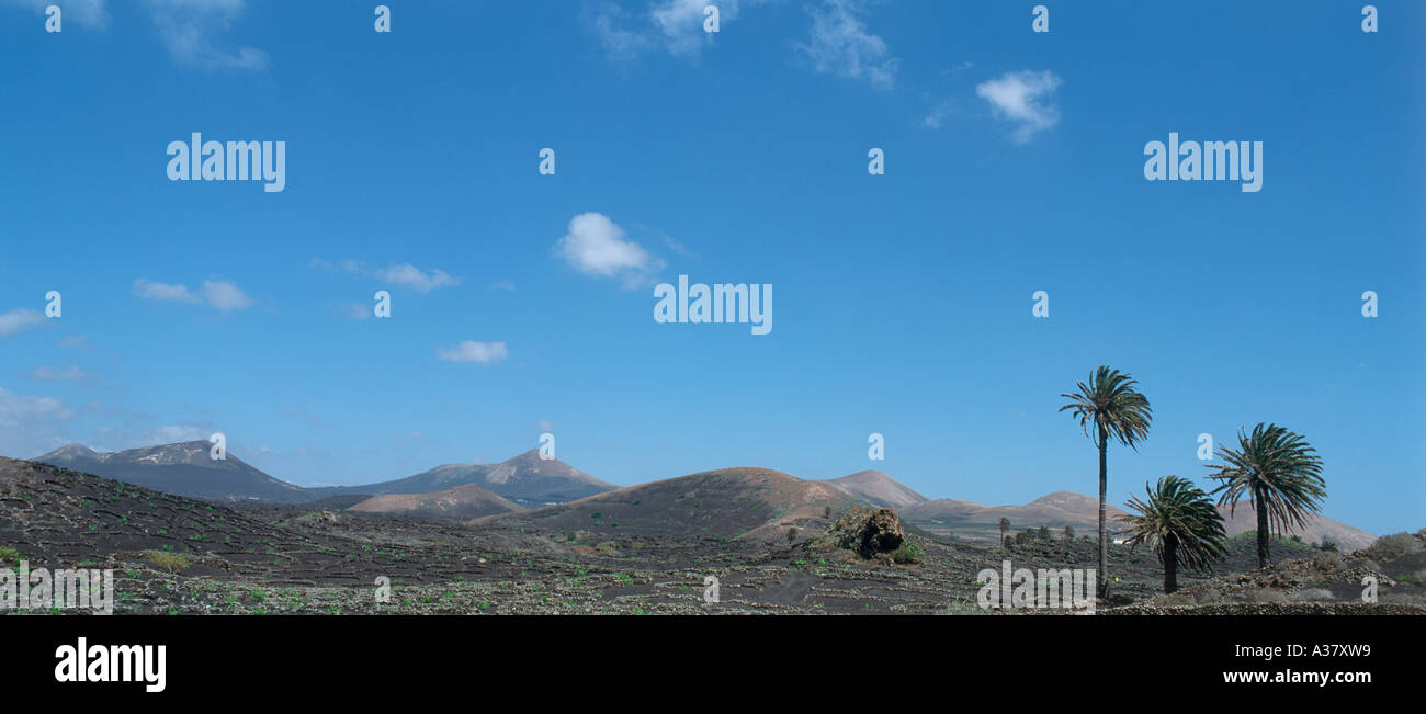 Panorama verticale del tipico paesaggio vicino al Parco Nazionale di Timanfaya, Lanzarote, Isole Canarie, Spagna Foto Stock