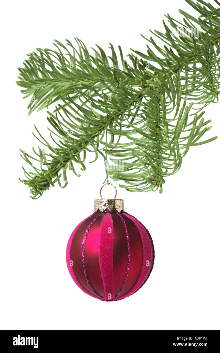 Decorazione per albero di Natale sul ramo di albero Foto Stock