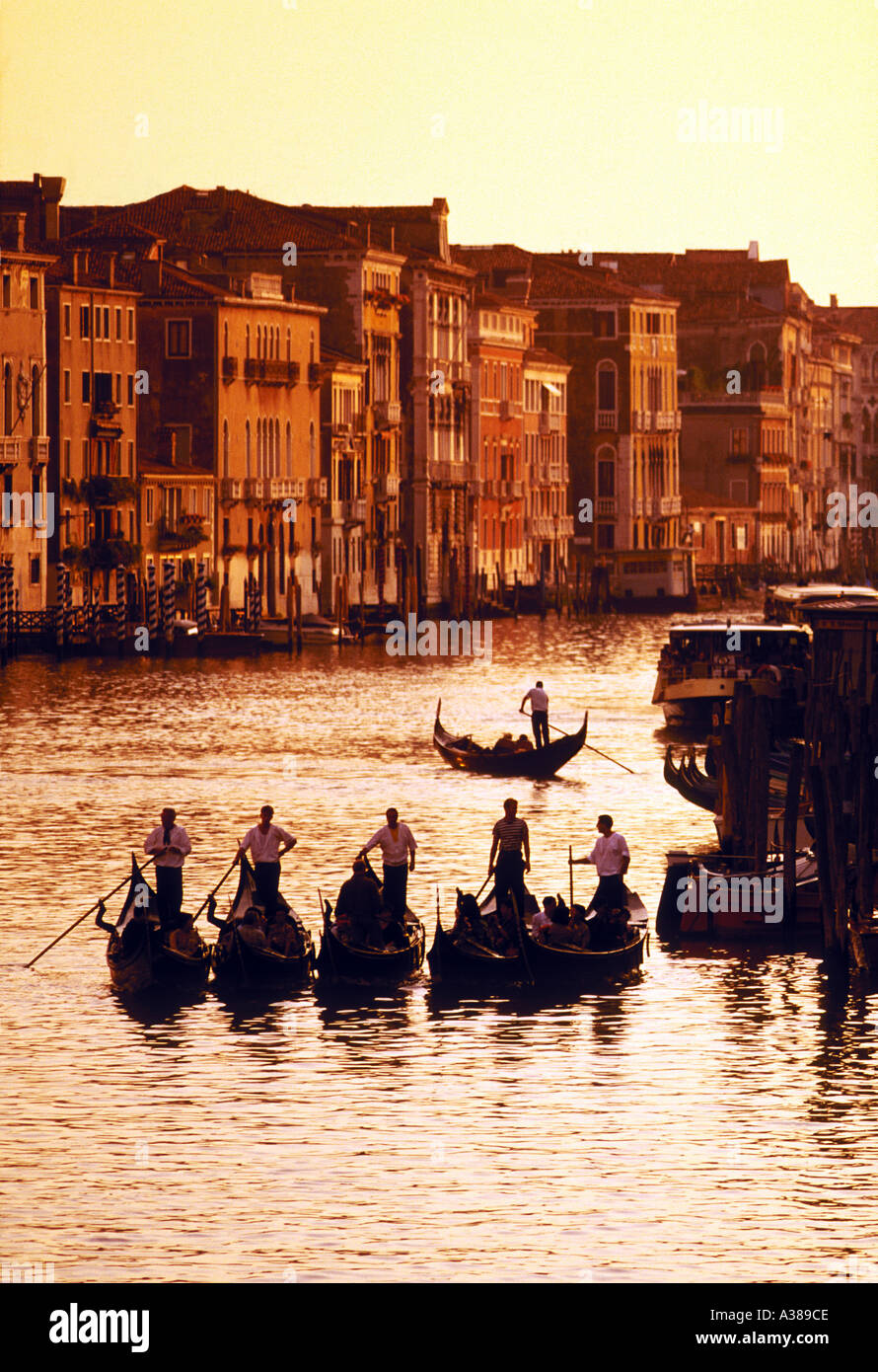Gondole sul Canal Grande Venezia Italia Europa Foto Stock