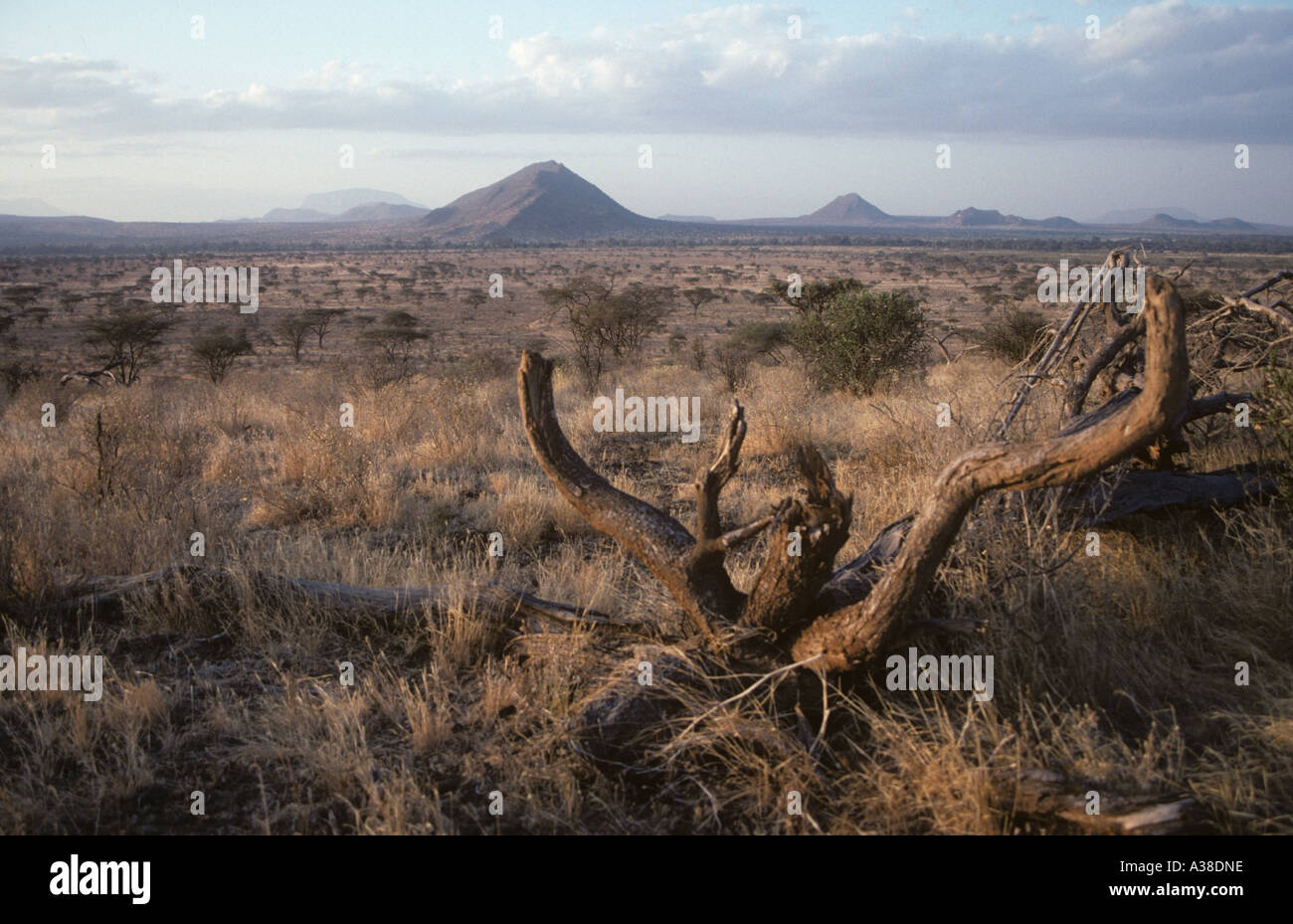 Samburu National Park Kenya sera Agosto Foto Stock