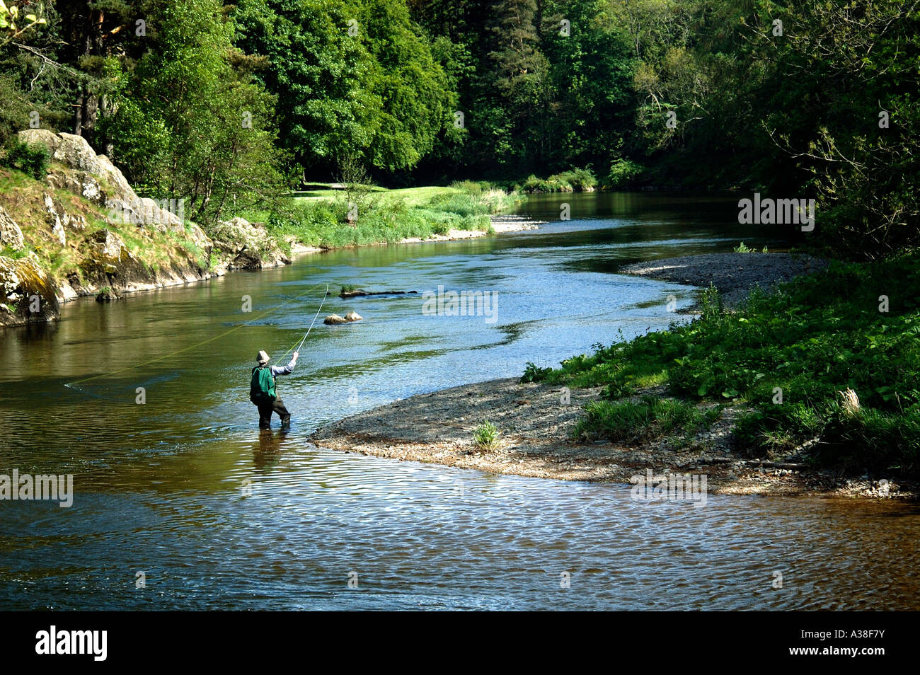 La pesca a mosca sul fiume Tweed da Peebles Foto Stock