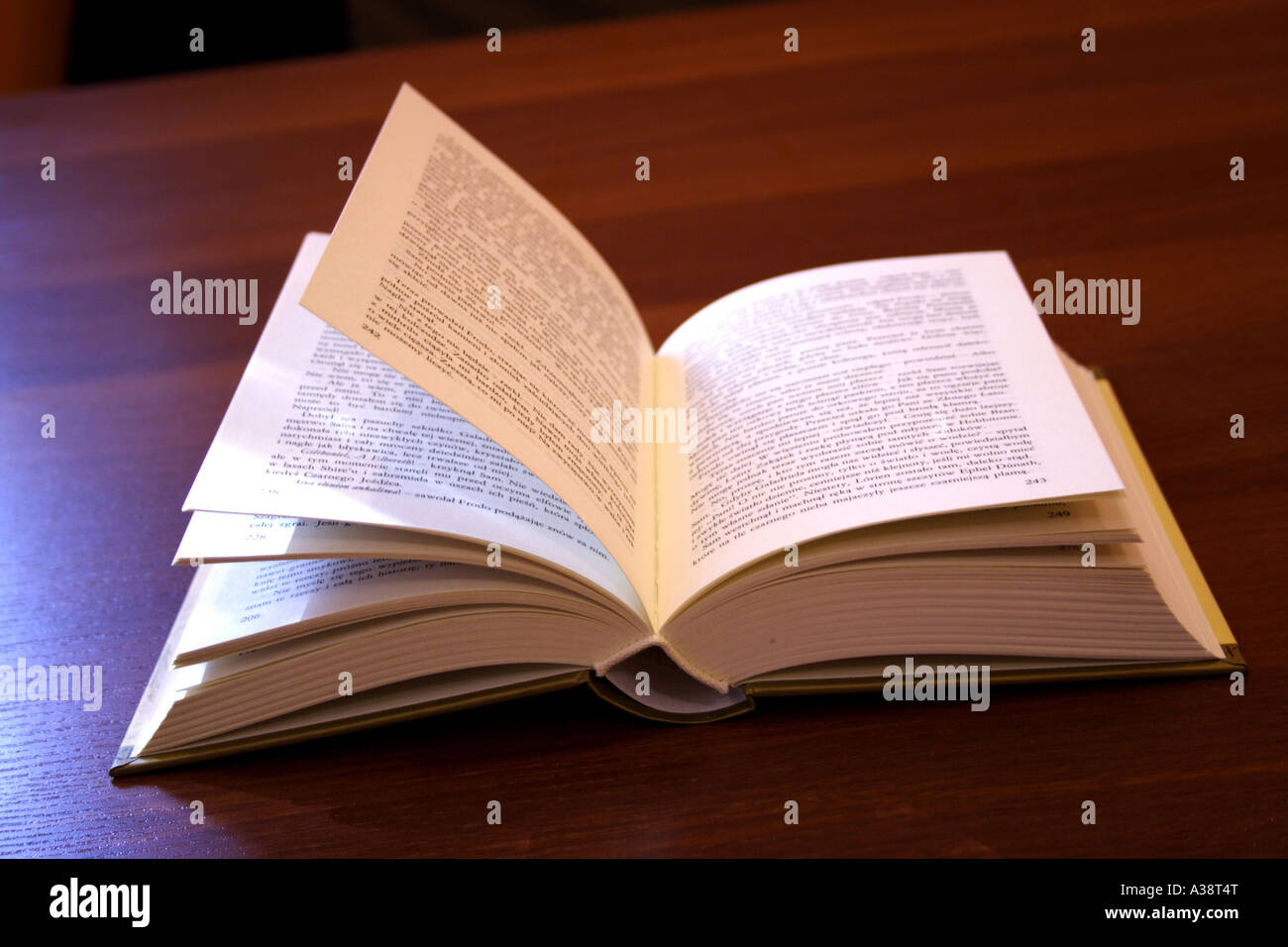 Libro Foto Stock