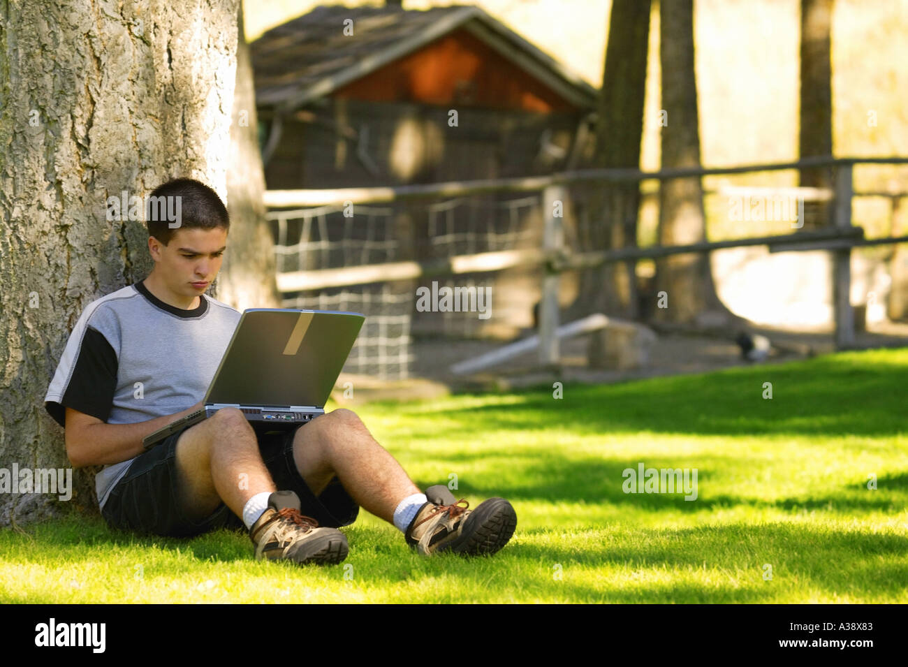 Teen boy lavorando su lap top Foto Stock