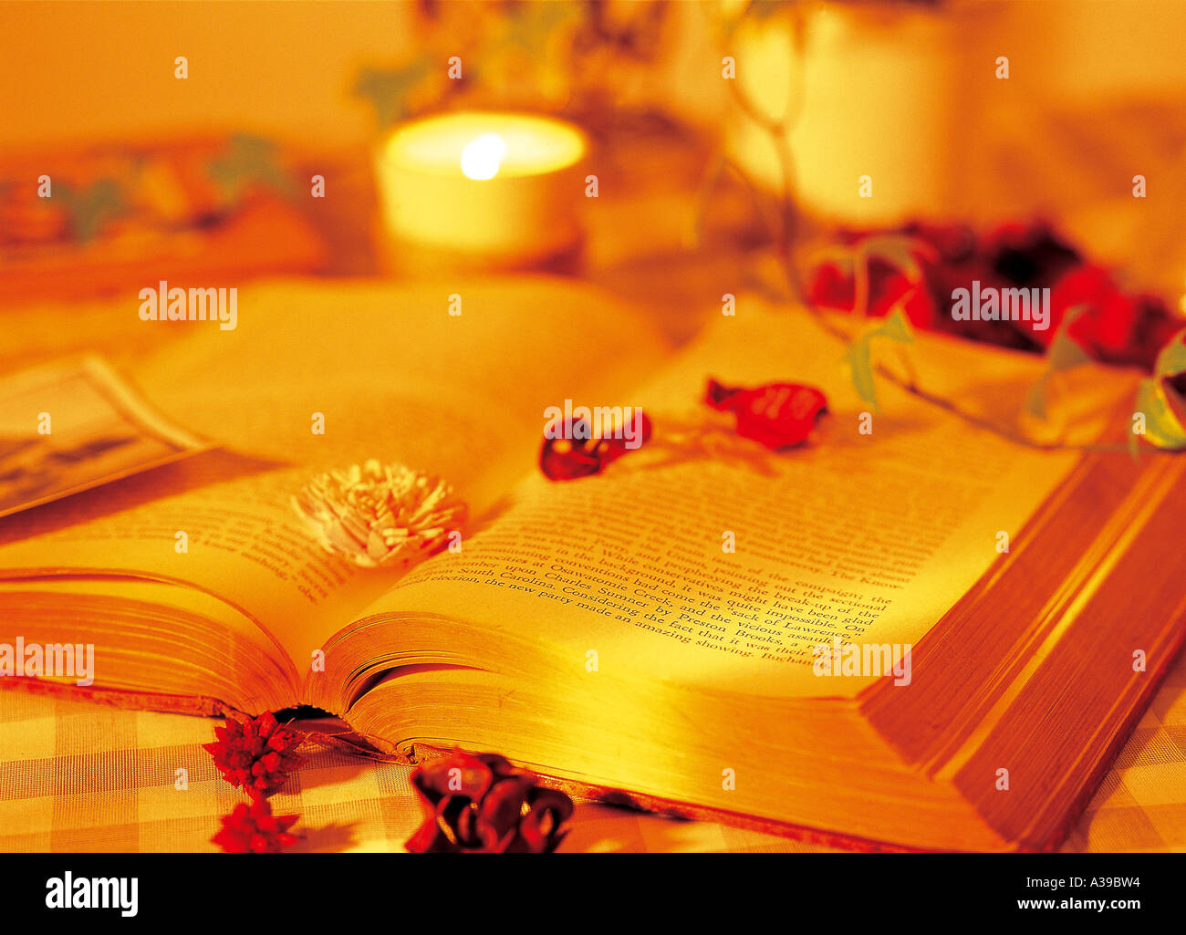 Fiori secchi lascia sul libro aperto Foto Stock