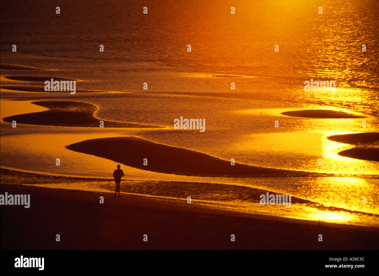 L'uomo jogging sulla spiaggia dorata 0290 Foto Stock