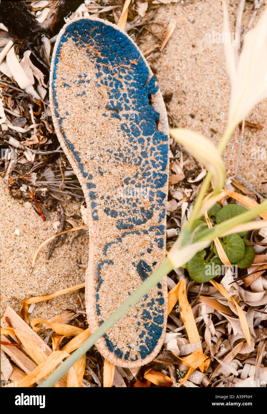 Spiaggia, Sardegna, Italiano, close up, inquinamento, dettaglio, dispersi nell'ambiente, atti di vandalismo, ecologia, abbandonato, danni Foto Stock