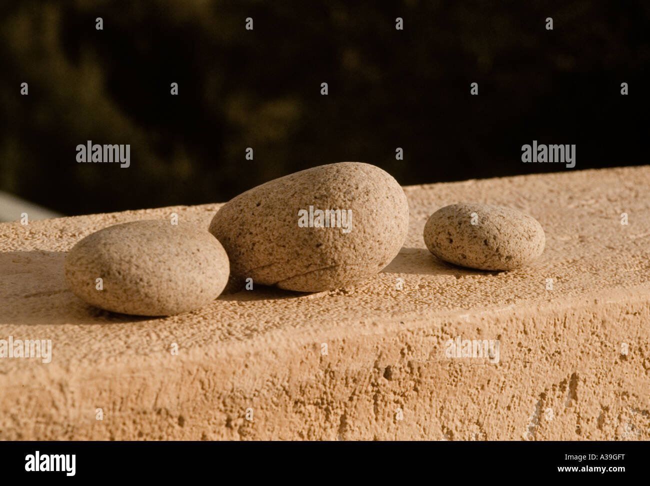 La pietra, roccia, tre, luce e ombra, rotondo, dettaglio, chiudere, ruvida, rude, composizione, ruvida, resistente, parete, foglie, fuzzy, verde Foto Stock