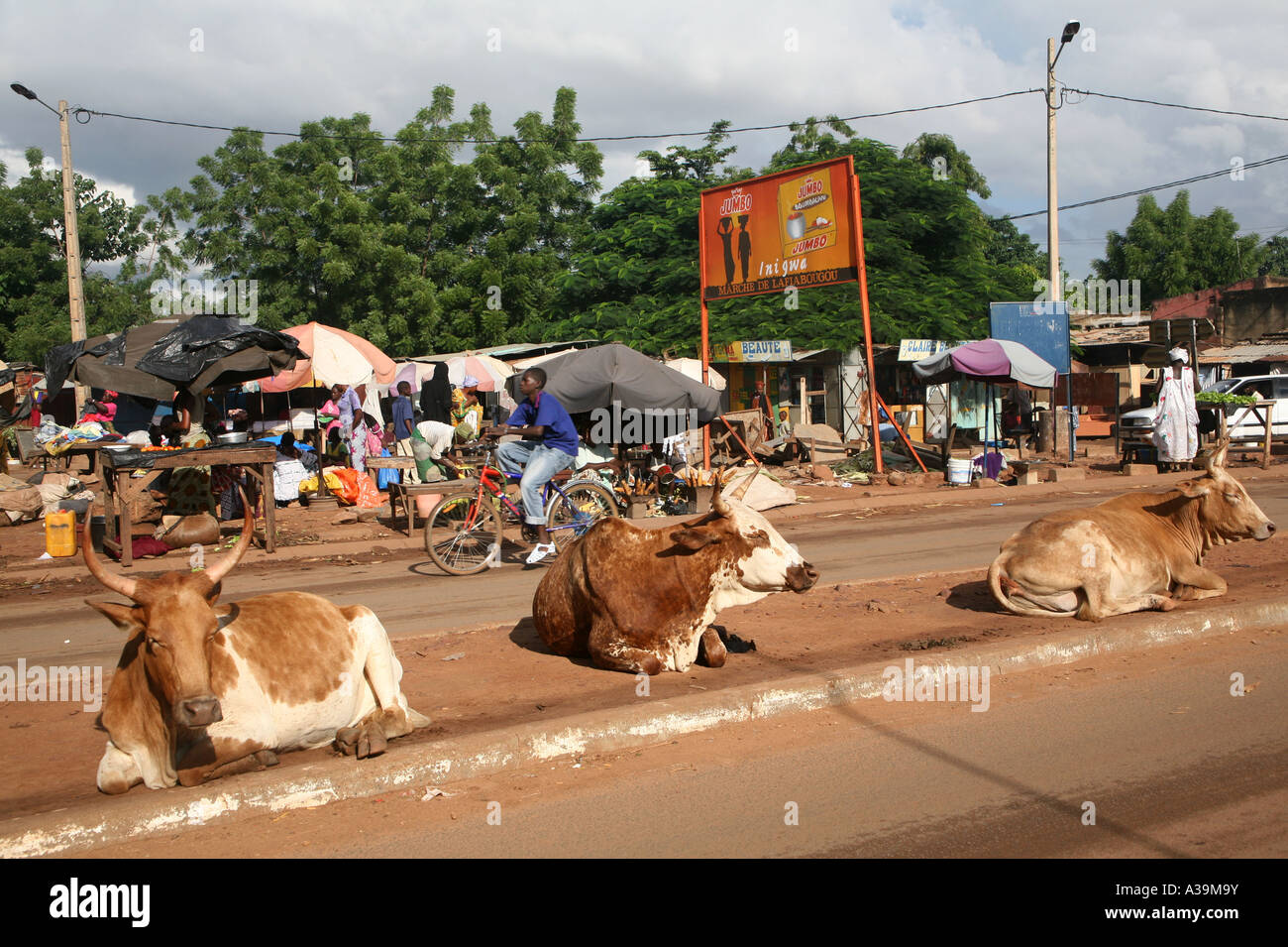 Vacche e altri animali camminare liberamente per le strade della città di Bamako Mali, Africa Foto Stock