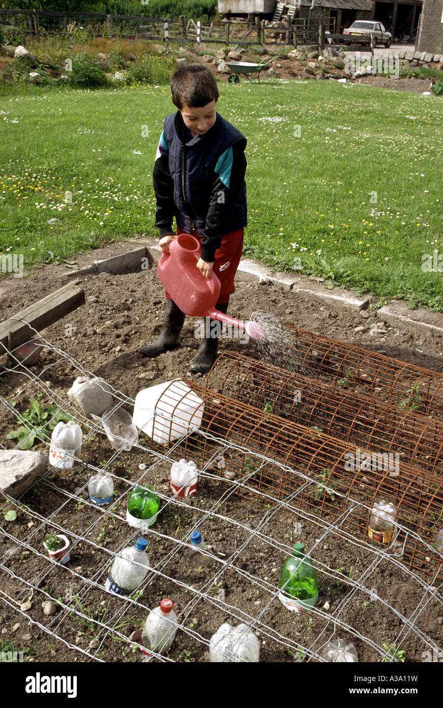 Giovane ragazzo in impianti di irrigazione in giardino Foto Stock