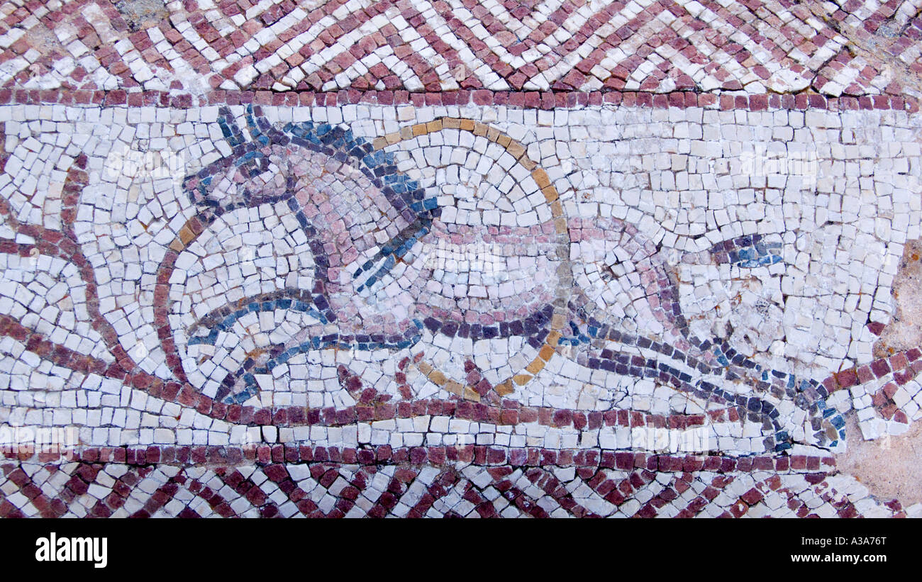 Mosaico di un cavallo nella Villa di Silin vicino a Leptis Magna Libia Foto Stock