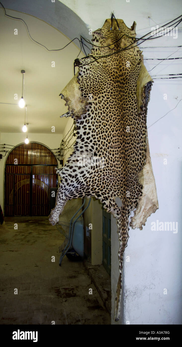 A pelle di leopardo al souk turistiche Tripoli in Libia Foto Stock