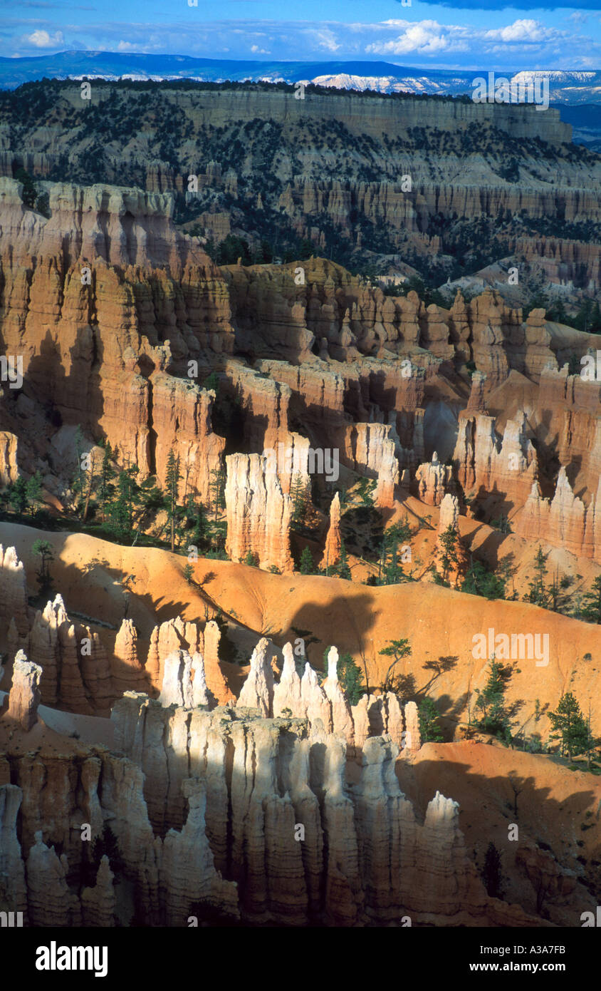 Bryce Canyon 5 Foto Stock