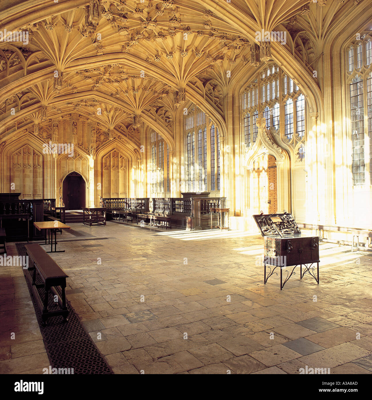 La divinità scuole biblioteca Bodleian Library Oxford Foto Stock