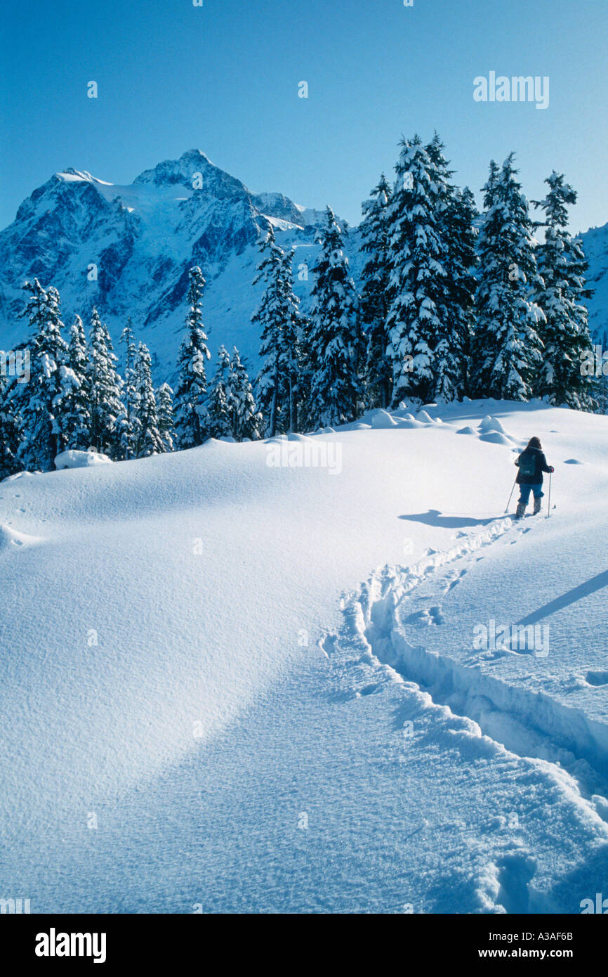 Mt Shuksan, WA, Stati Uniti d'America, sci di fondo, sci, sciatore, inverno, North Cascades, Mt Baker Area, nello Stato di Washington, North Cascades Foto Stock