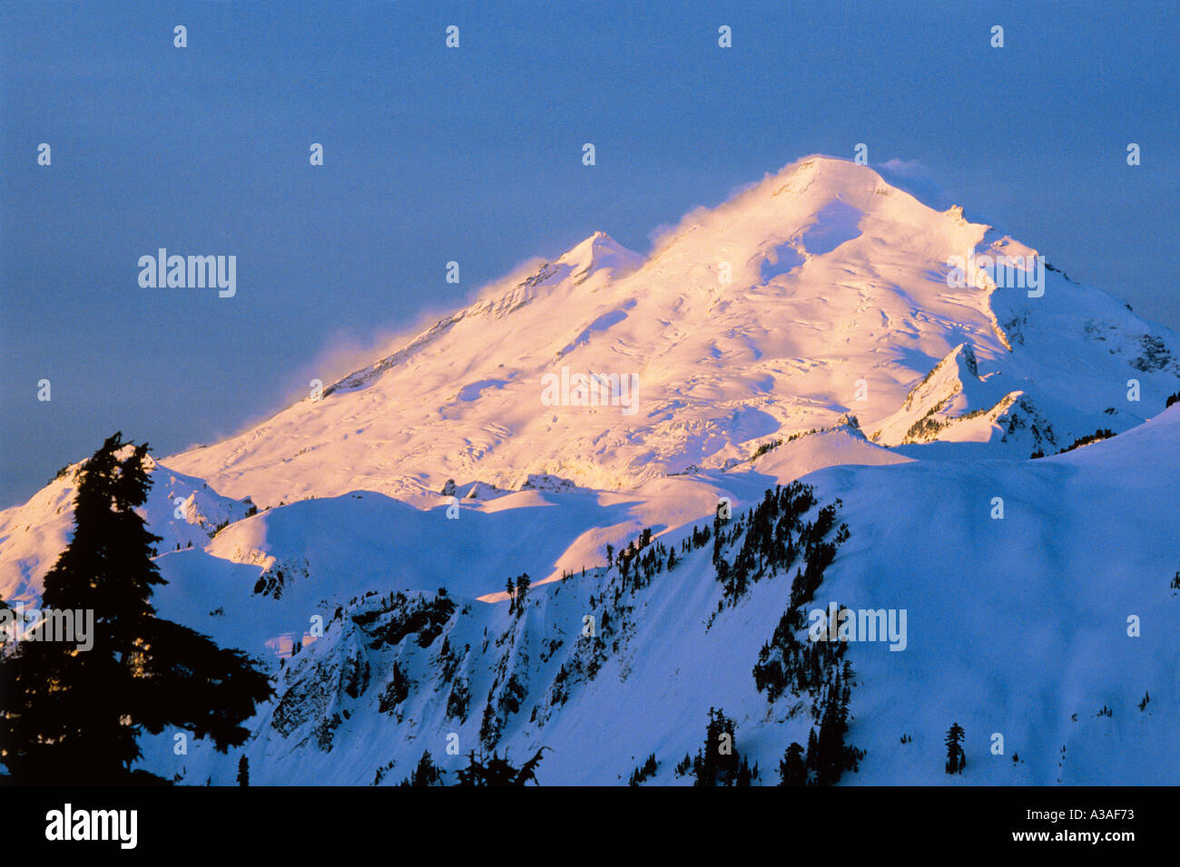 Mt Baker, nello Stato di Washington, USA, 10778 ft 3285 m, Pacific Northwest, North Cascades, Mt Baker area selvaggia, inverno, Sunrise Foto Stock