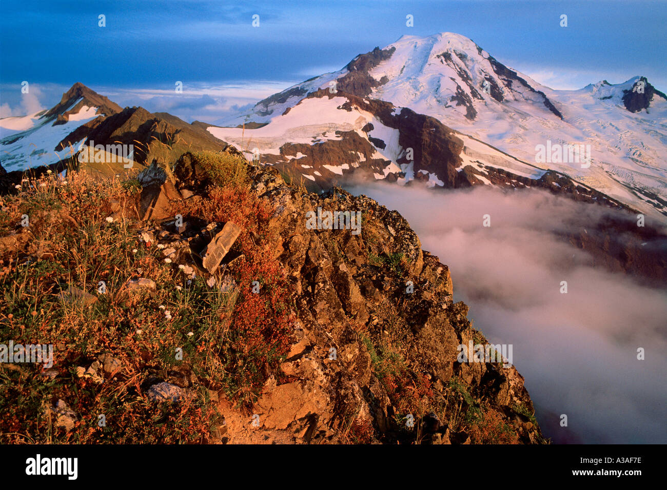 Mt Baker nello Stato di Washington USA 10778 ft 3285 m Pacific Northwest North Cascades Mt Baker Wilderness Area cresta alpina Foto Stock