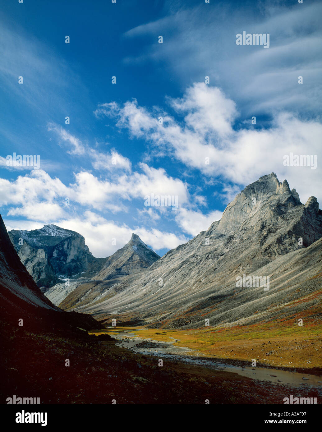 Porte del Arctic National Park, Alaska, STATI UNITI D'AMERICA, Brooks Range, deserto, Arrigetch picchi e Arrigetch Creek in autunno Foto Stock