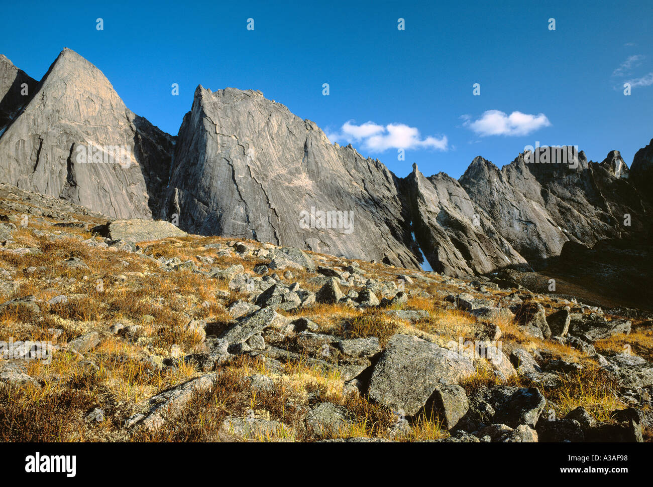 Porte del Arctic National Park, Alaska, STATI UNITI D'AMERICA, Brooks Range, deserto, Arrigetch picchi, dal Duomo Foto Stock