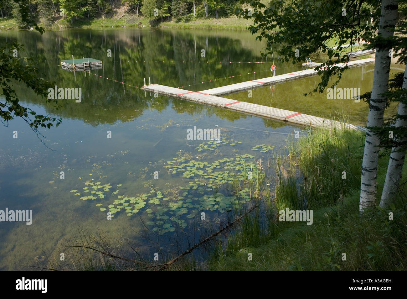P33 112 bacino galleggiante sul lago nel nord del Michigan Foto Stock