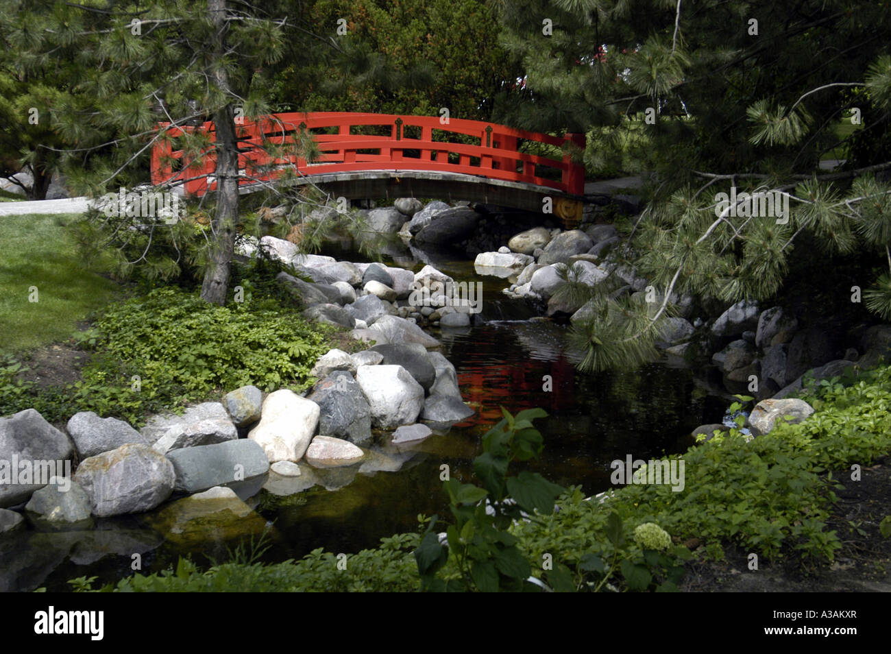P18 063 Cerimonia del tè, Centro Culturale Giapponese amicizia Garden Bridge, Saginaw MI Foto Stock