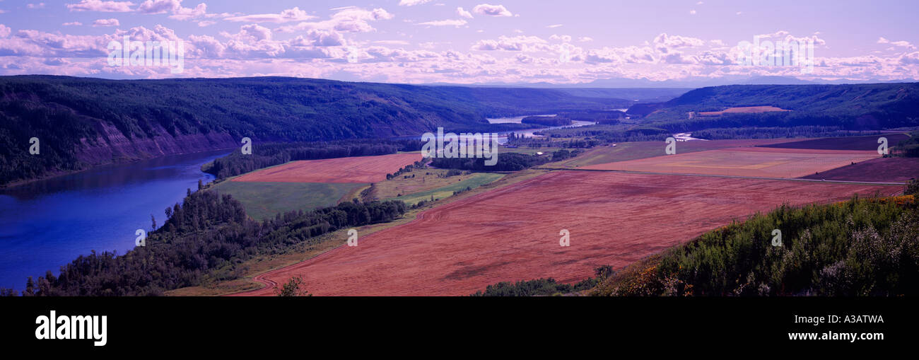 Peace River Valley e terreni agricoli / campi di grano al tempo del raccolto, vicino alla fortezza di San Giovanni, Northern British Columbia, Canada Foto Stock