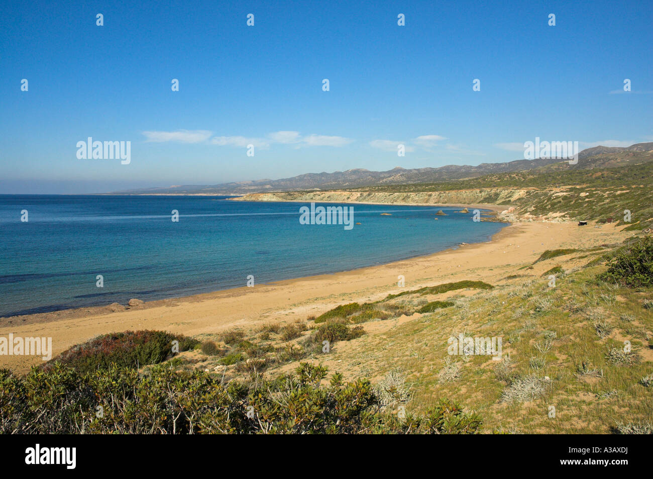 Lara Turtle Beach. Cipro Foto Stock