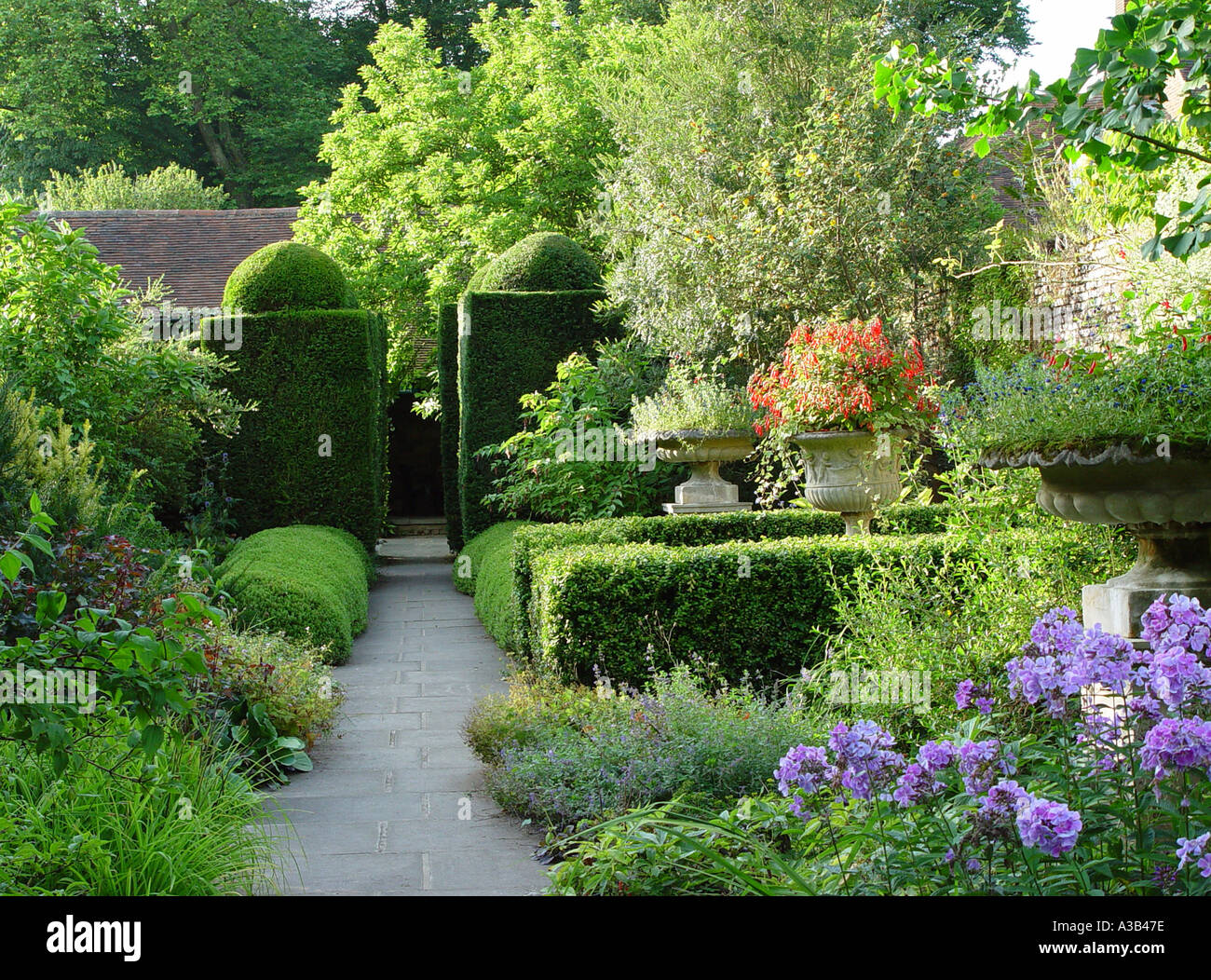 Giardino e percorso di yew topiaria da grande giardino Comp Kent Foto Stock