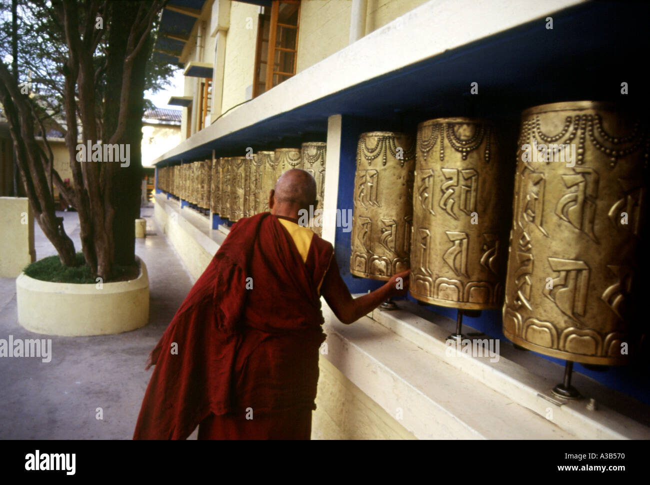 Monastero Buddista Dharamshala Himachal Pradesh India Foto Stock