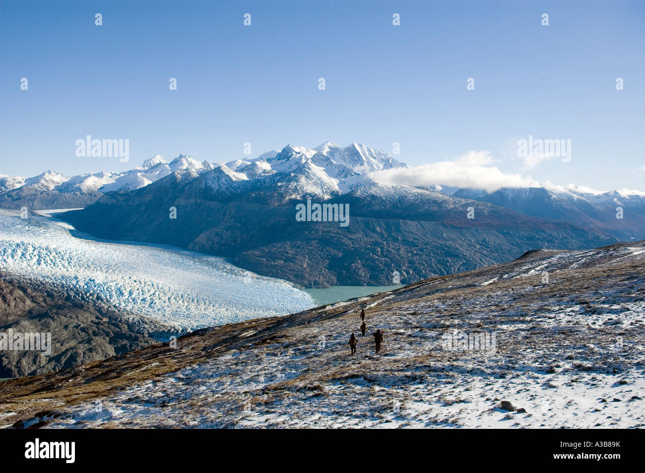 Il Cile America del Sud Patagonia meridionale la mattina presto vista del ghiacciaio O'Higgins con campi di Ghiaccio Sud Hielo Sur Foto Stock