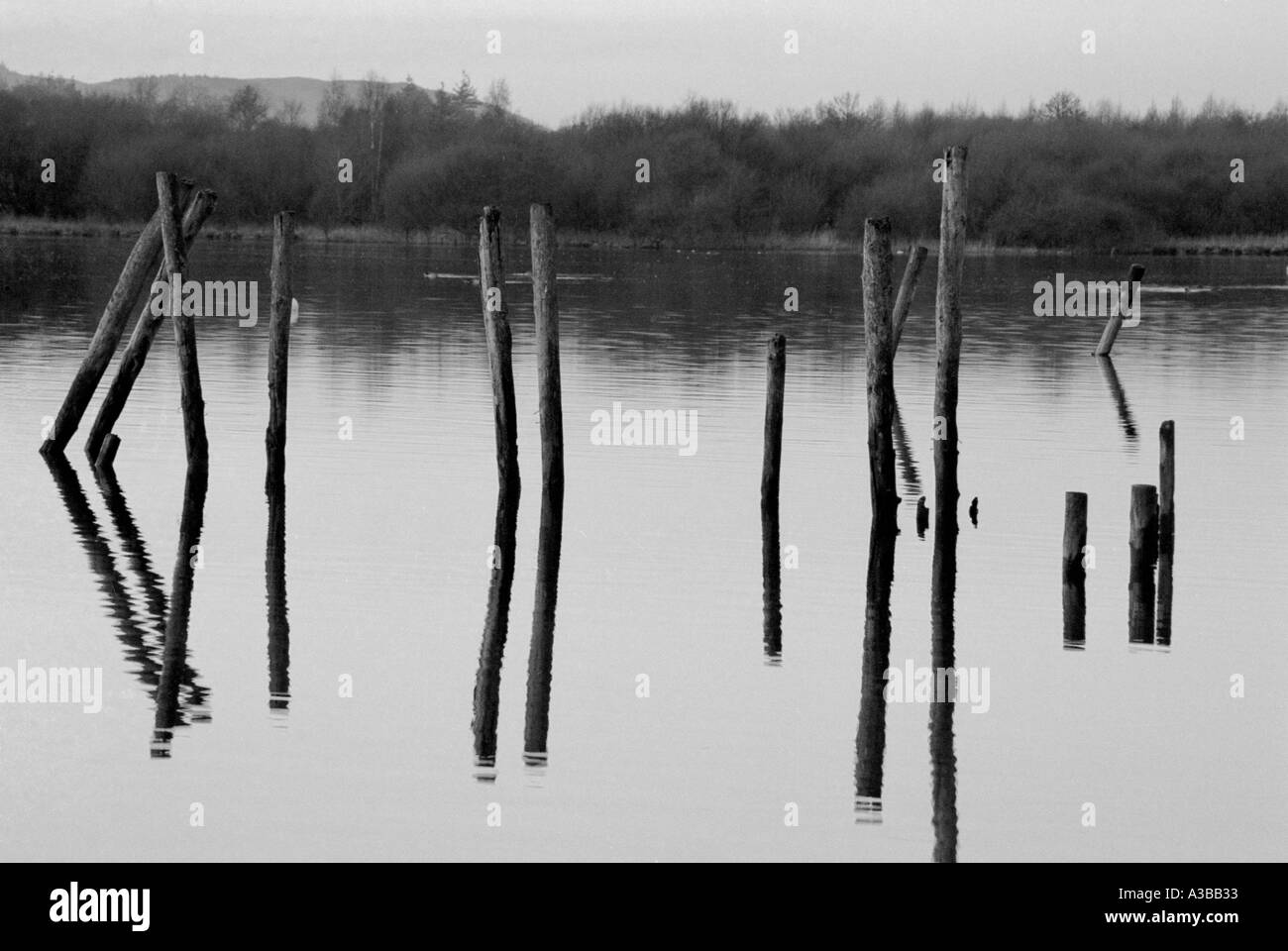 Monconi simmetrico in acqua di Derwent Water nel distretto del Lago Foto Stock
