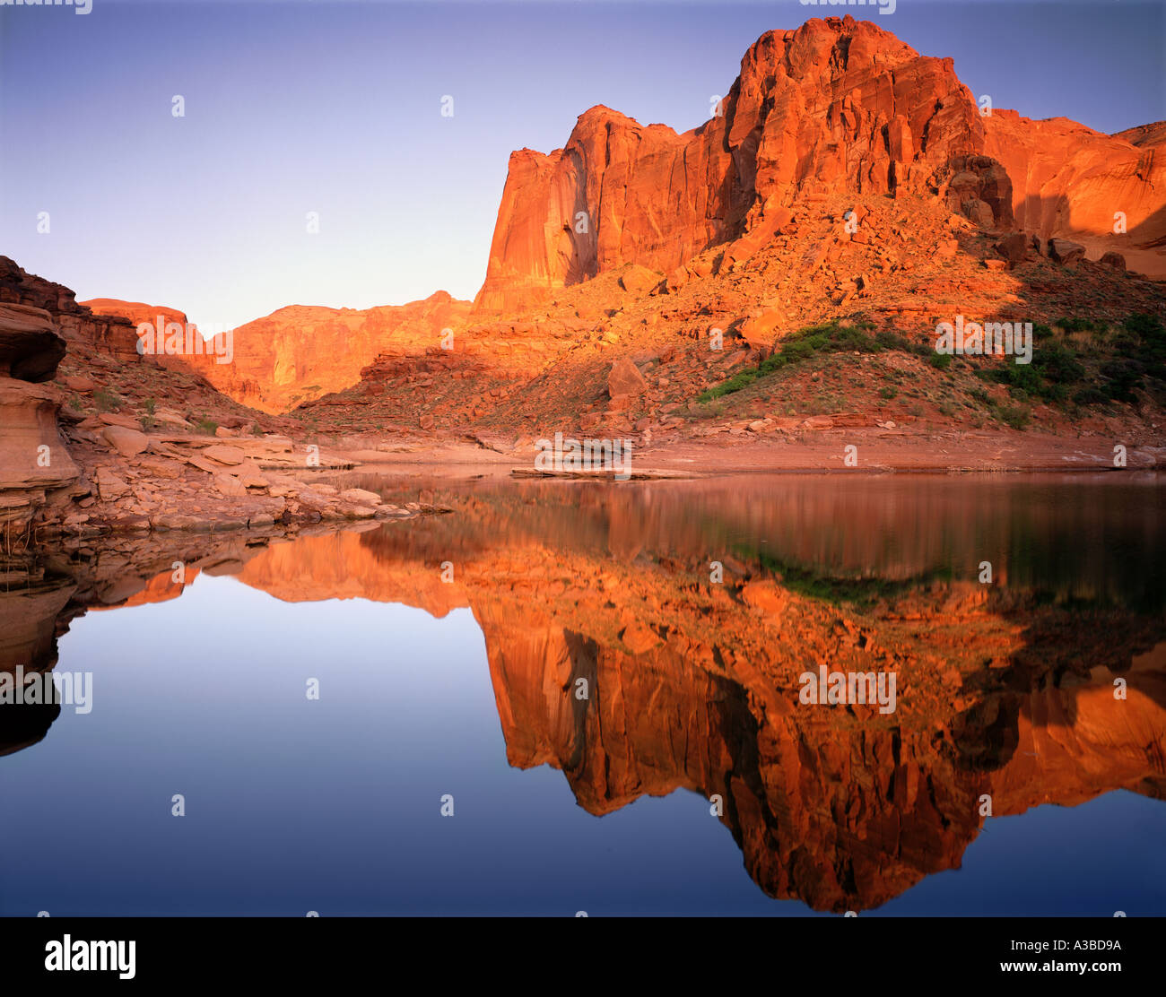 La riflessione in Knowles Canyon Glen Canyon National Recreation Area Utah Foto Stock