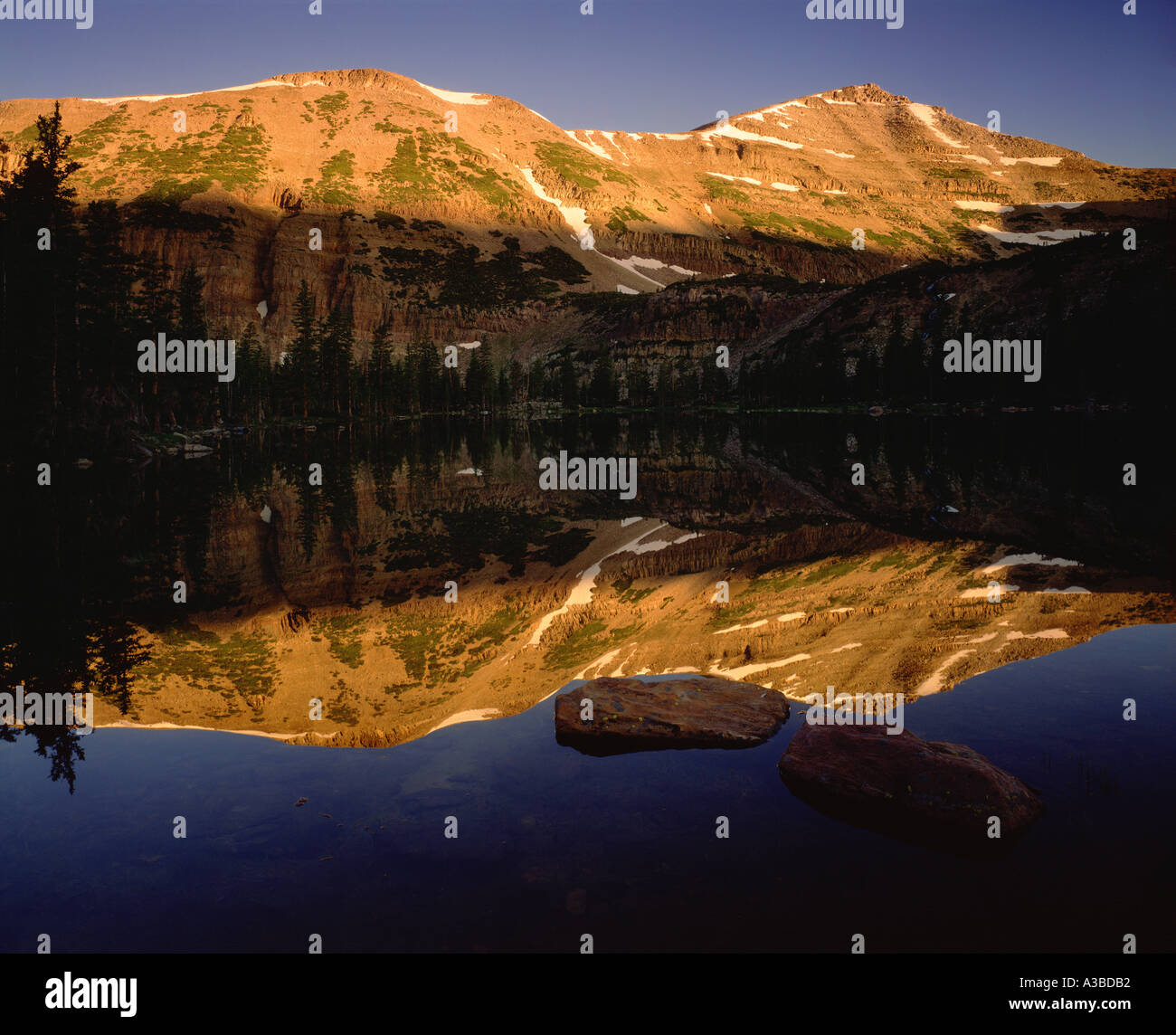 Mt Agassiz alta riflessione Uintas deserto dello Utah Foto Stock