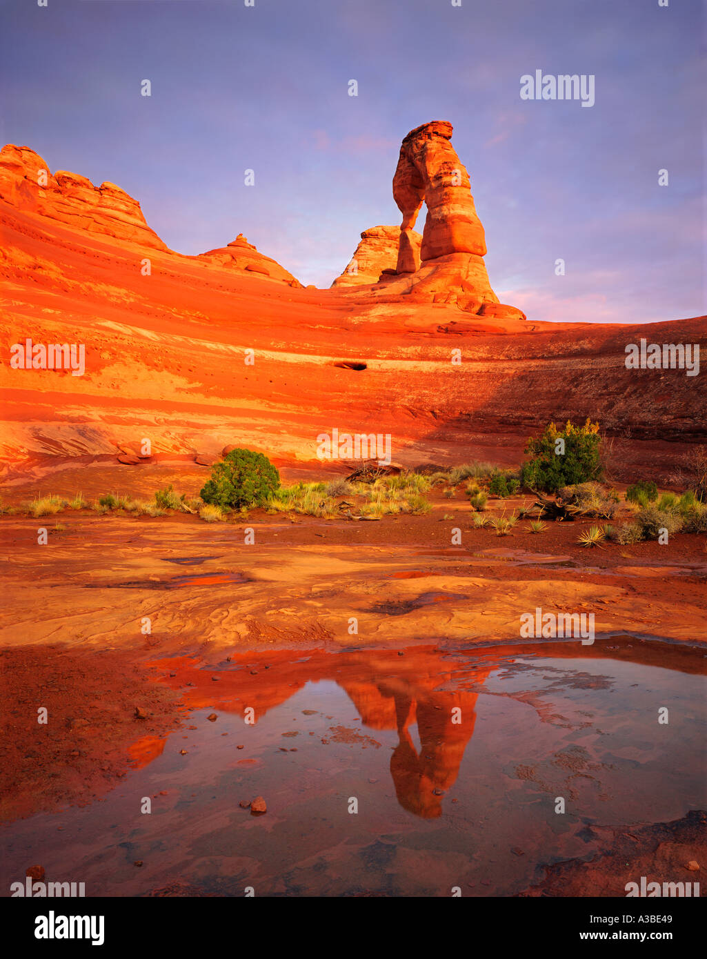 La riflessione di Delicate Arch Arches National Park nello Utah Foto Stock