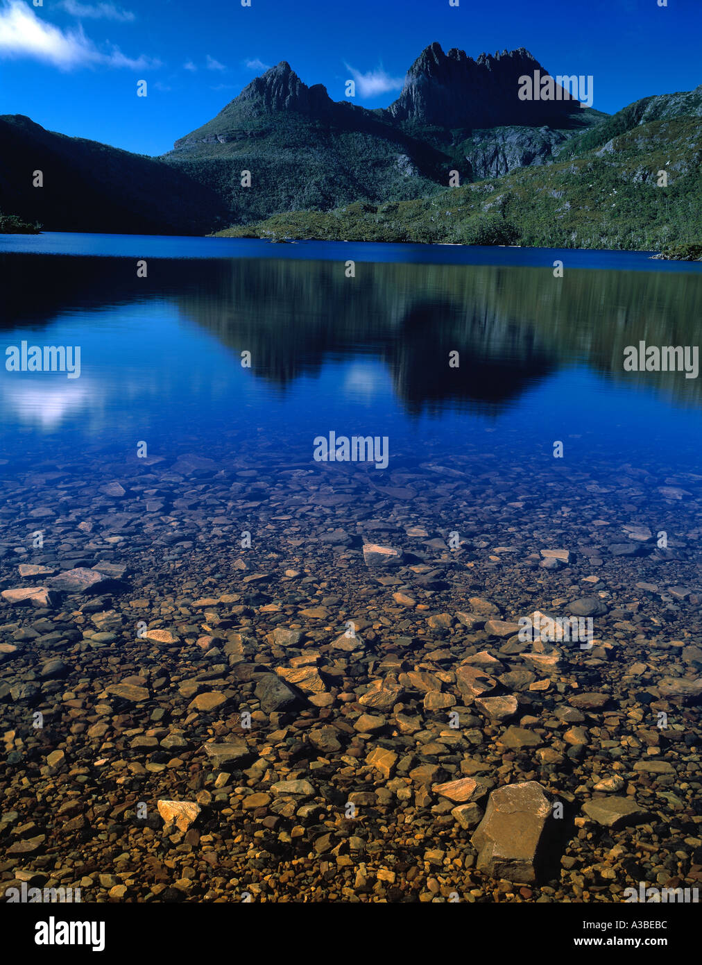Cradle Mountain Lake Colomba Cradle Mountain Lake St Clair National Park Tasmania Australia Foto Stock