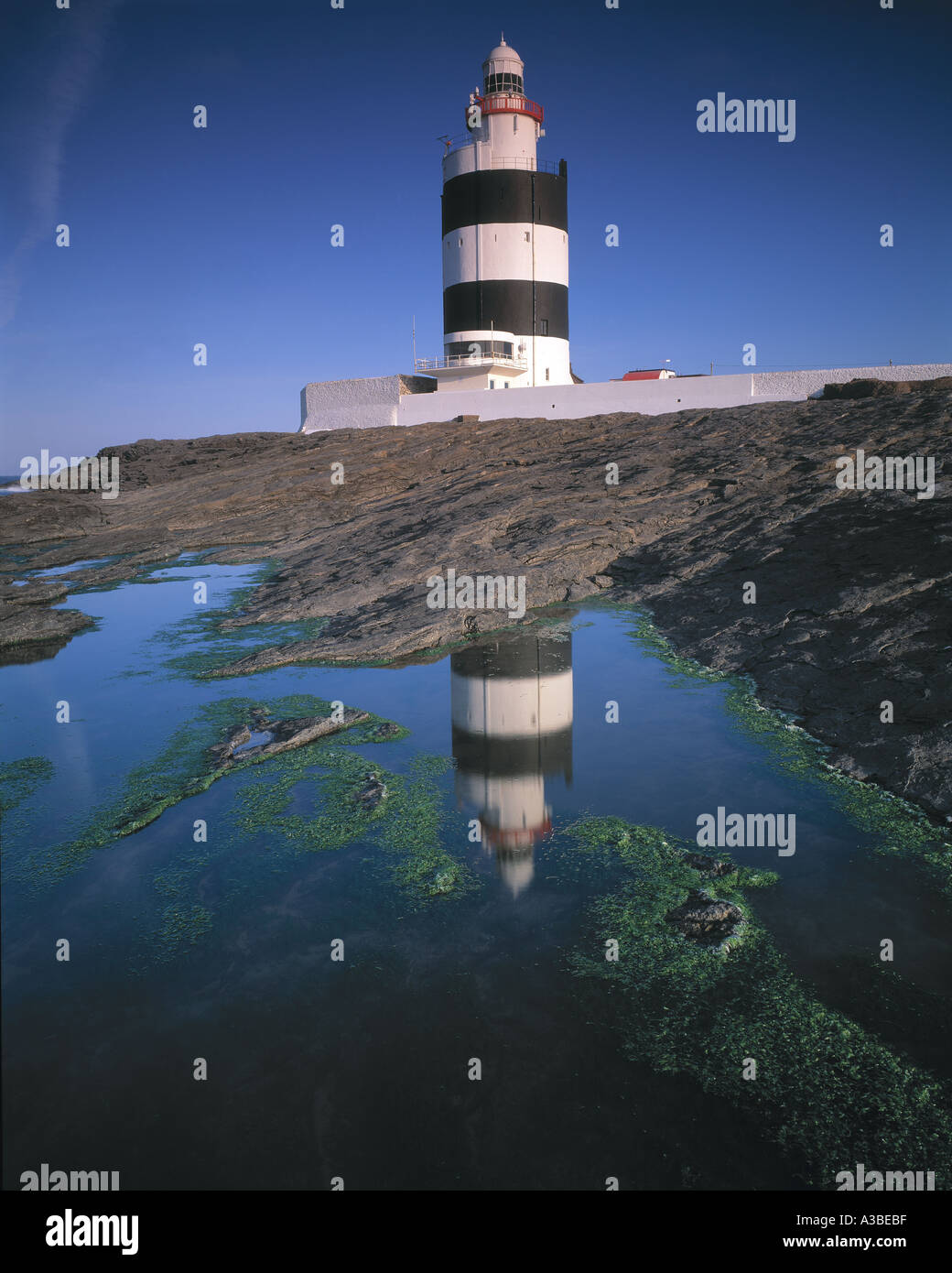 Faro di Hook Penninsula County Wexford in Irlanda Foto Stock