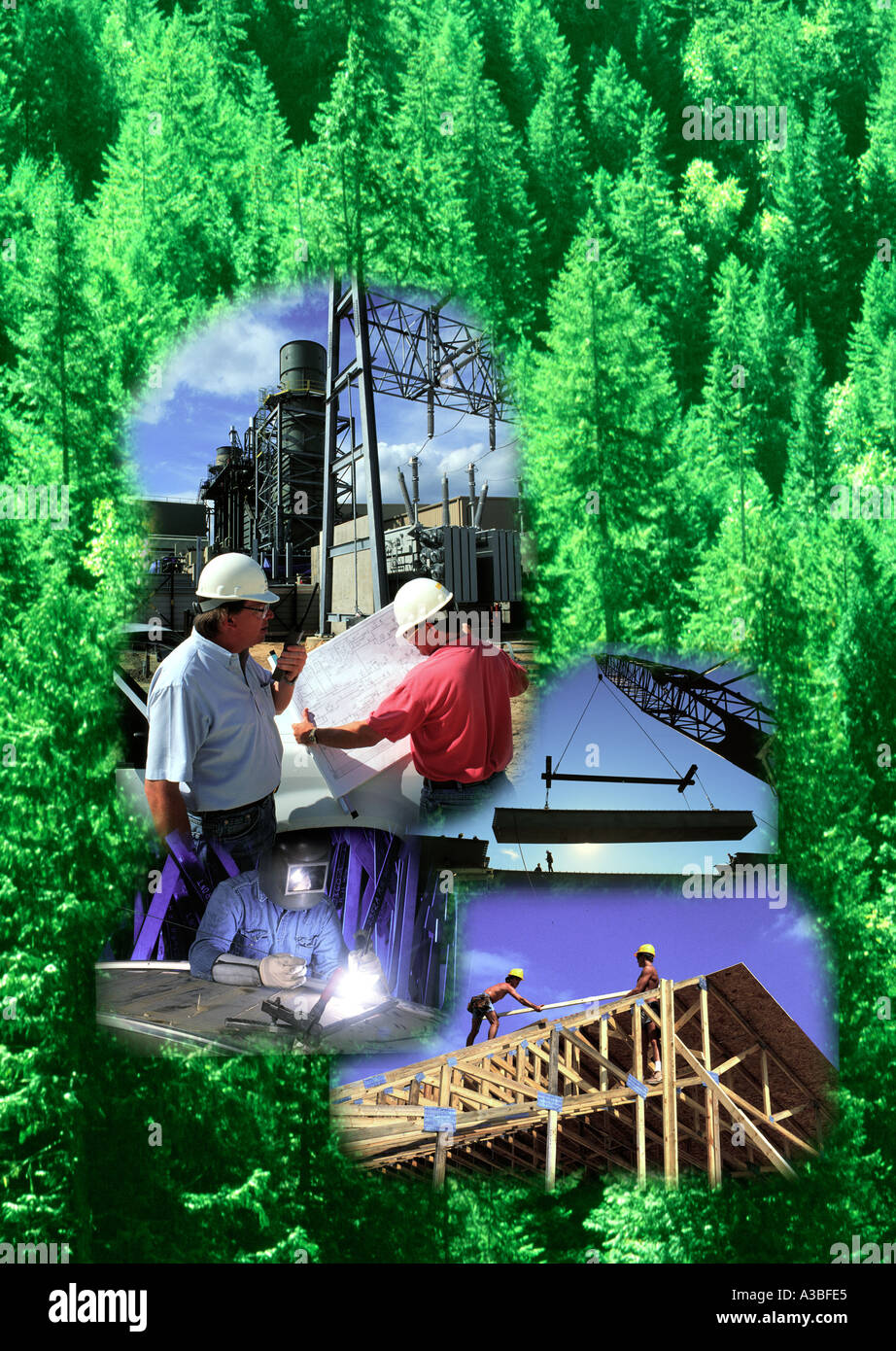 Costruzione ecologia Foto Stock