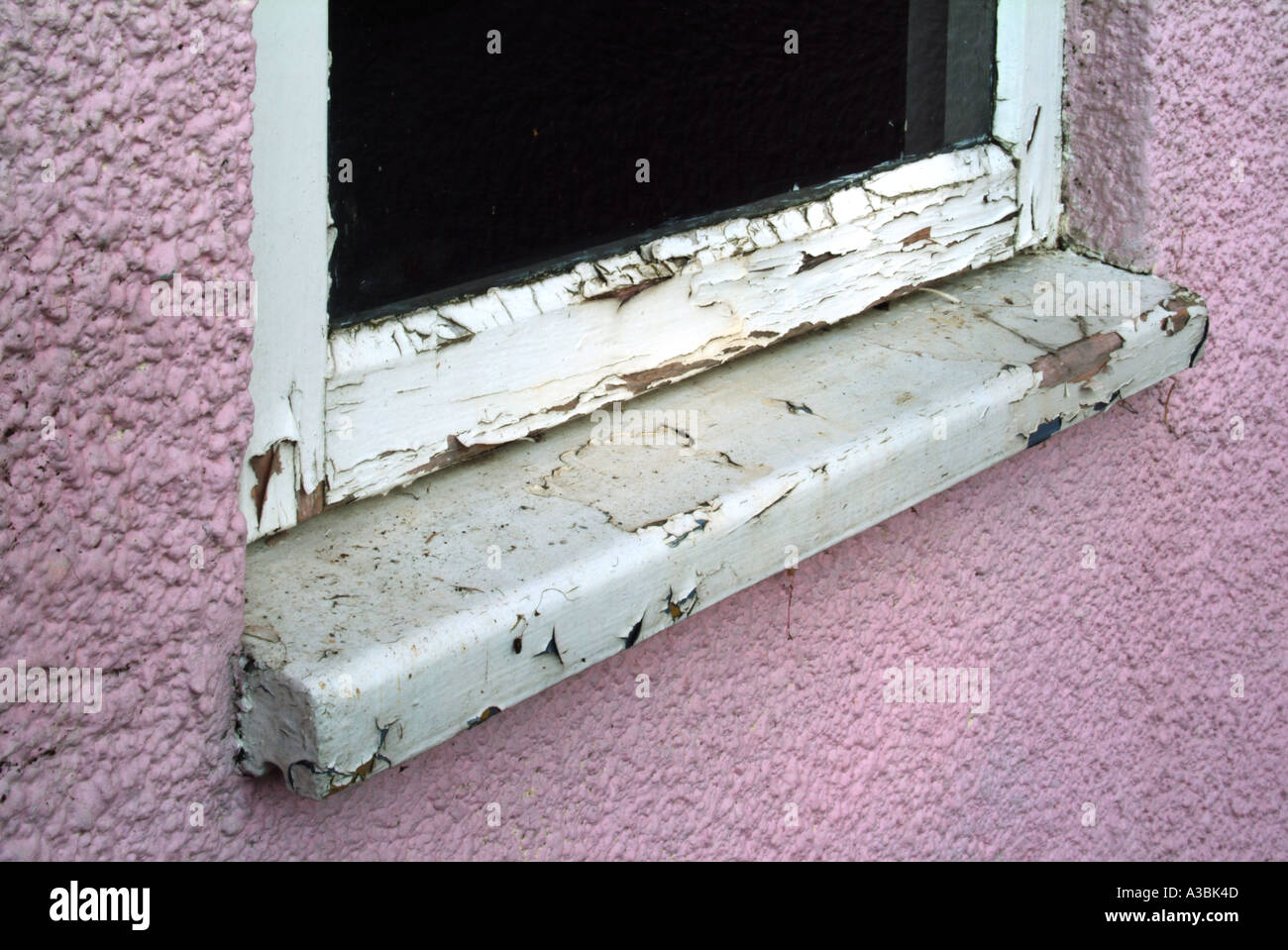 Deterioramento della finestra in legno sulla proprietà domestica estensione in bisogno di alcune operazioni di manutenzione Foto Stock