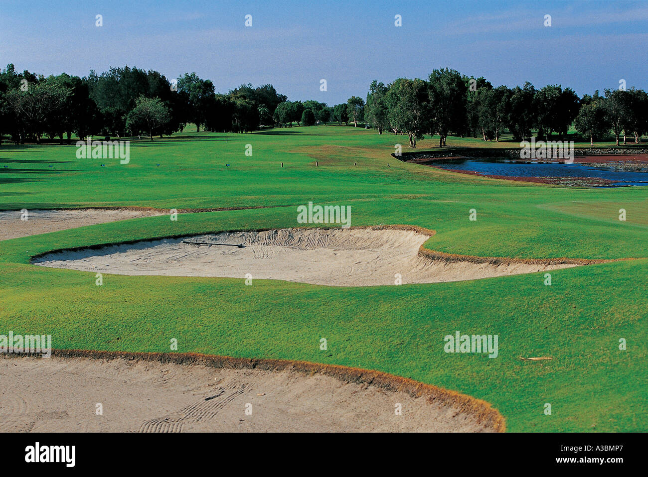 Il campo da golf,golf club,bunker,campo,campo da golf,Surf Foto Stock