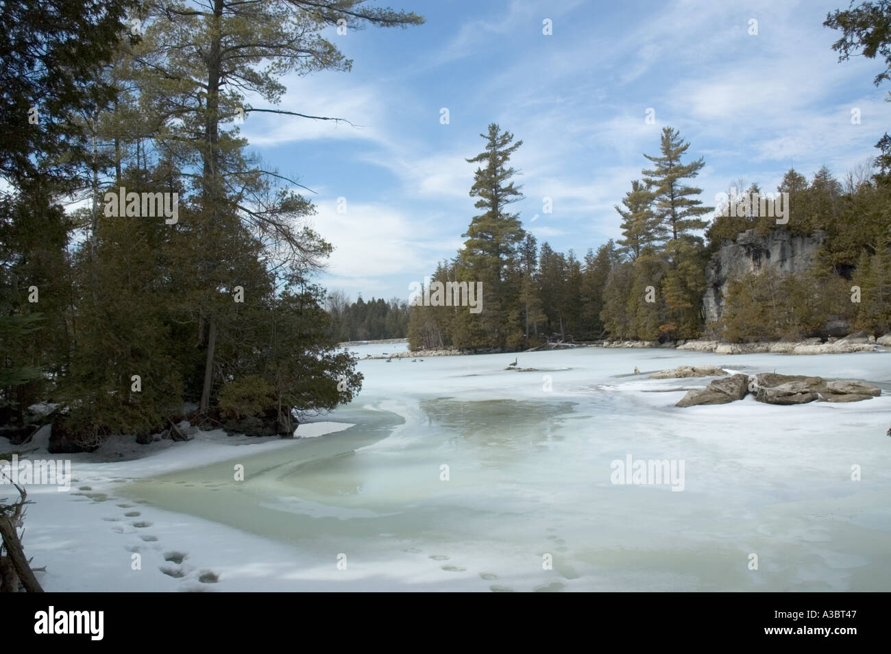 Di pino e di foreste di cedro durante il disgelo invernale nella scarpata in paese in Ontario Canada Foto Stock